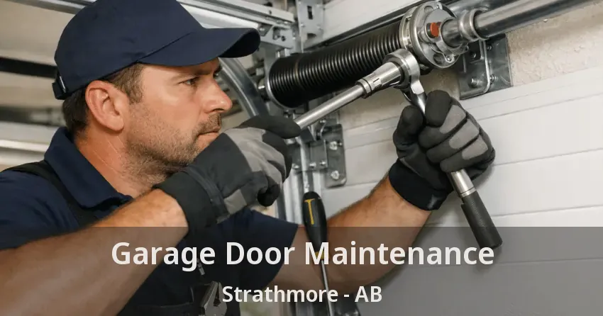 Garage Door Maintenance Strathmore - AB